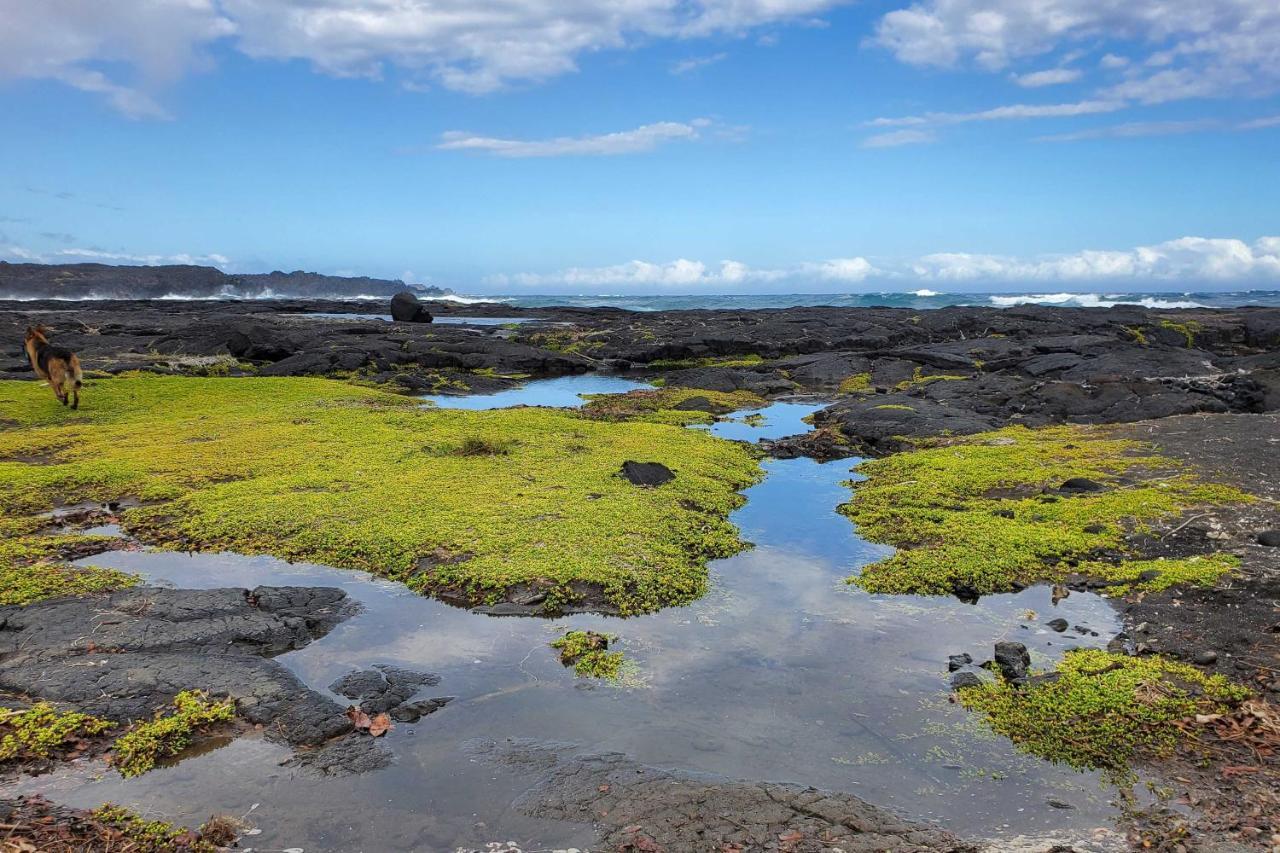 The Aloha Green House Retreat With Ocean Views! Naalehu Buitenkant foto
