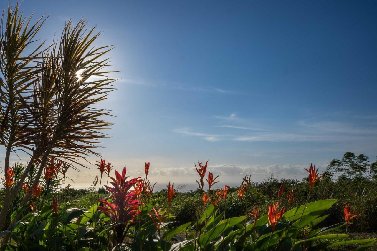 The Aloha Green House Retreat With Ocean Views! Naalehu Buitenkant foto